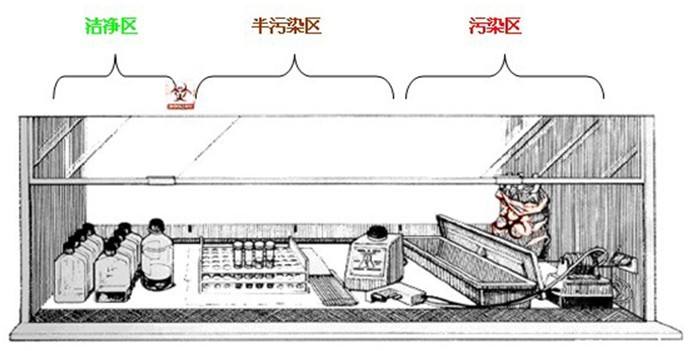 生物安全柜,苏州净化